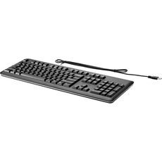 HP USB Keyboard (QY776AA)