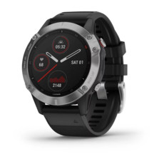 Garmin fenix 6 Silver with Black Band