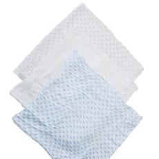 Parental Instinct Boys Bamboo Muslin Cloth Set of 3