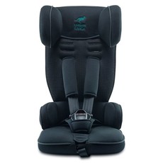 Urban Kanga Car Seat