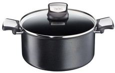 Tefal - Expertise Titanium Excellence Stew Pot - 24cm