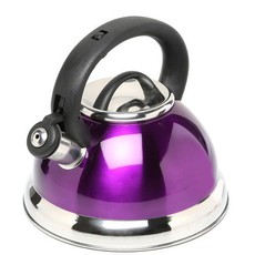 Condere Metalic Whistling Kettle 3L - Purple
