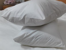 Dreyer 100% Cotton Percale 200TC Sheet Set - White