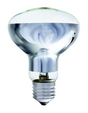 70 Watt R80 E27 Halogen Bulb