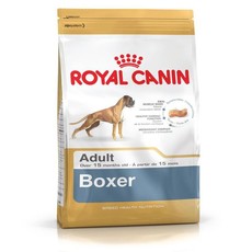 Boxer adult 12Kg