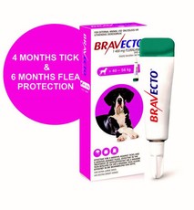 Bravecto Spot-On Dog Extra Large - 1's