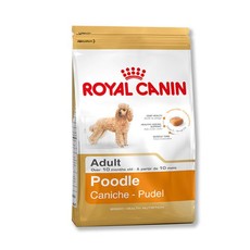 Poodle 7,5KG