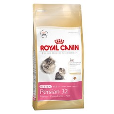 Royal Persian Kitten 4kg