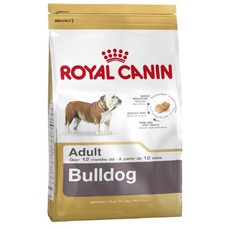 English Bulldog Adult 12Kg