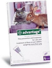 Advantage Large Cats