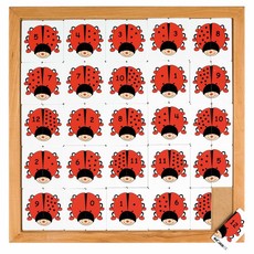 Educo Netherlands Beetle Counting Game