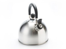 Stainless Steel Whistle Kettle