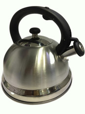 Stainless Steel Induction Kettle - Silver