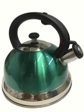 Stainless Steel induction Kettle - Green