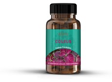 Sfera Coleus Forskohlli - 60 Capsules