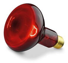 Beurer Replacement Lamp for Infrared Lamp IL 11 - 100 W