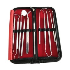 10 in 1 Professional Stainless Steel Dental Tools Kit