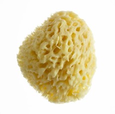 Natural Sea Bath Sponge