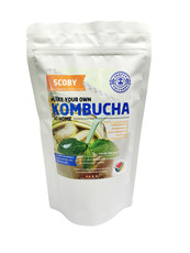 Kombucha Scoby