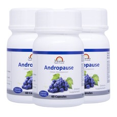 Andropause Testosterone Libido Booster 3 Month Pack