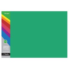 Green Foolscap Premuim Deep Tint 192gsm Board Folder - Pack of 100