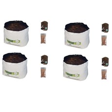 Easy Grow Kit Chilli, Basil, Green pepper & Tomato Seeds