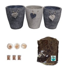 Herb Pot Growing Kit, Soil and Basil, Parsley and Thyme Seeds