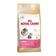 Persian Kitten 2kg