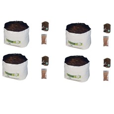 Easy Grow Kit Basil, Parsley, Spinach & Rocket Seeds