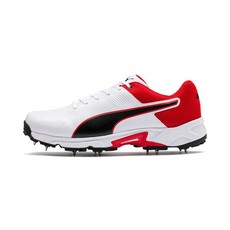 Puma Men's Spike 19.2 Cricket Shoes