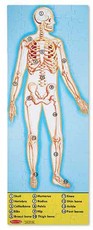 Melissa & Doug Human Body - 100 Piece