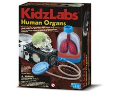 4M Kidz Labs Human Organs