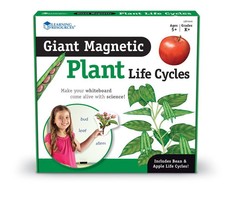 Learning Resources Giant Magnetic Plant Life Cycles