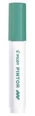 Pilot SW-PT Medium Point Paint Marker - Box of 6 - Green