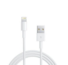 Tangled - Lightning to USB in White