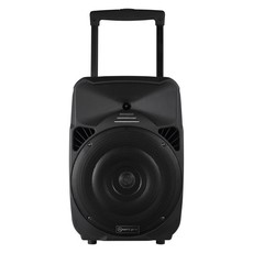 Amplify Spartan Series 15" Bluetooth Party Speaker