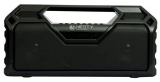 Nesty Wireless 10W RMS Bluetooth Portable Speaker with FM Radio Model BM101