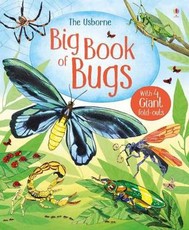 Big Book of Big Bugs