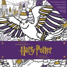 Harry Potter: Winter at Hogwarts: A Magical Coloring Set