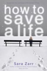 How to Save a Life (eBook)