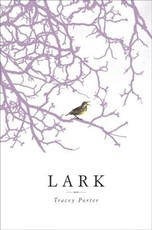 Lark (eBook)