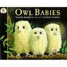 Owl Babies