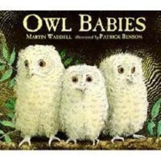 Owl Babies