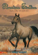 Phantom Stallion #13: Heartbreak Bronco (eBook)