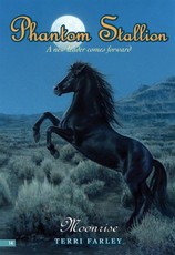 Phantom Stallion #14: Moonrise (eBook)