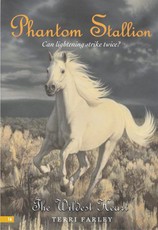 Phantom Stallion #16: The Wildest Heart (eBook)