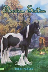 Phantom Stallion #23: Gypsy Gold (eBook)