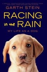 Racing in the Rain (eBook)