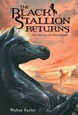 The Black Stallion Returns