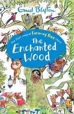 The Enchanted Wood